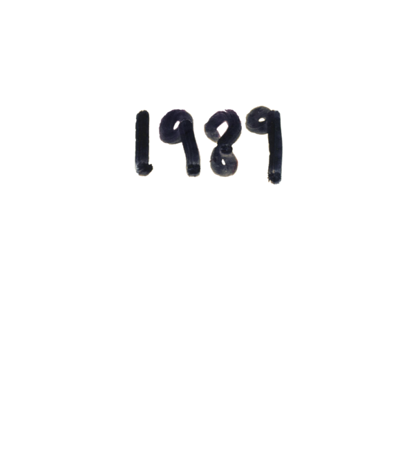 Taylor Swift 1989 text model alb pe tricou