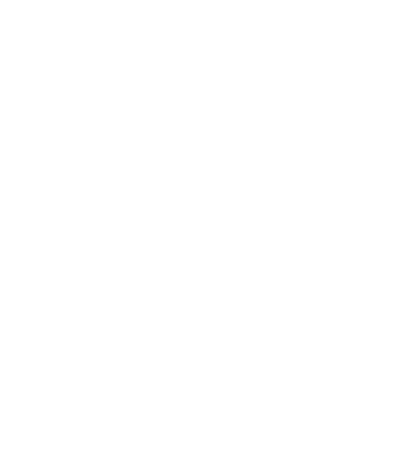 nimeni nu e perfect, dar stăpânii de border collie sunt foarte aproape model negru pe tricou