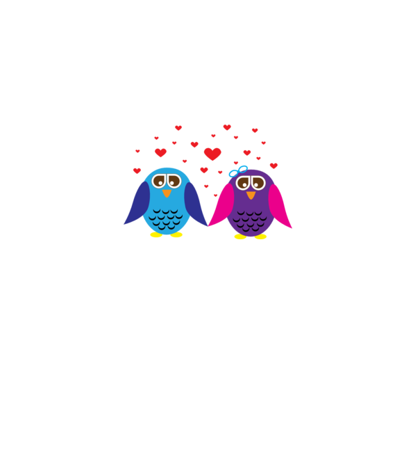 Owl Love model gri pe tricou