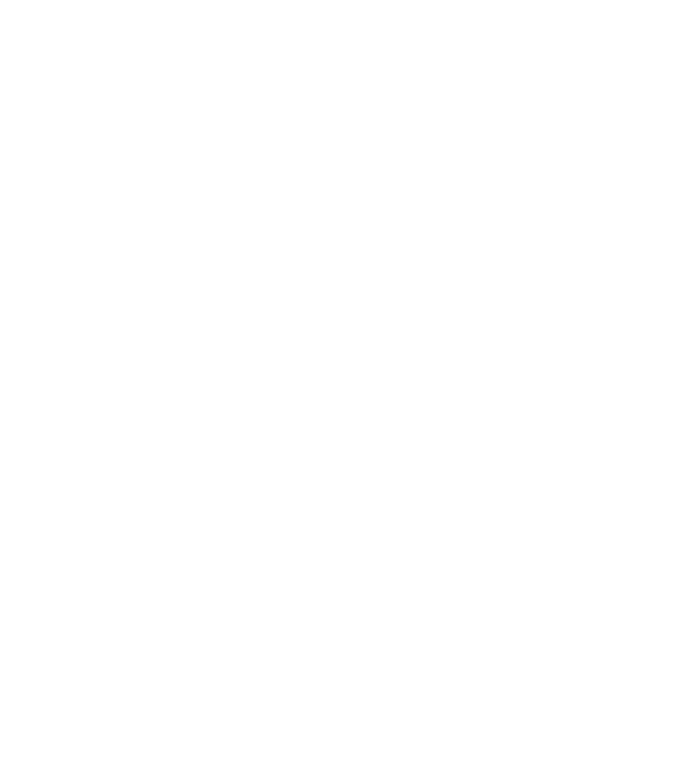 Așa arată un APICULTOR foarte chipeș model negru pe tricou