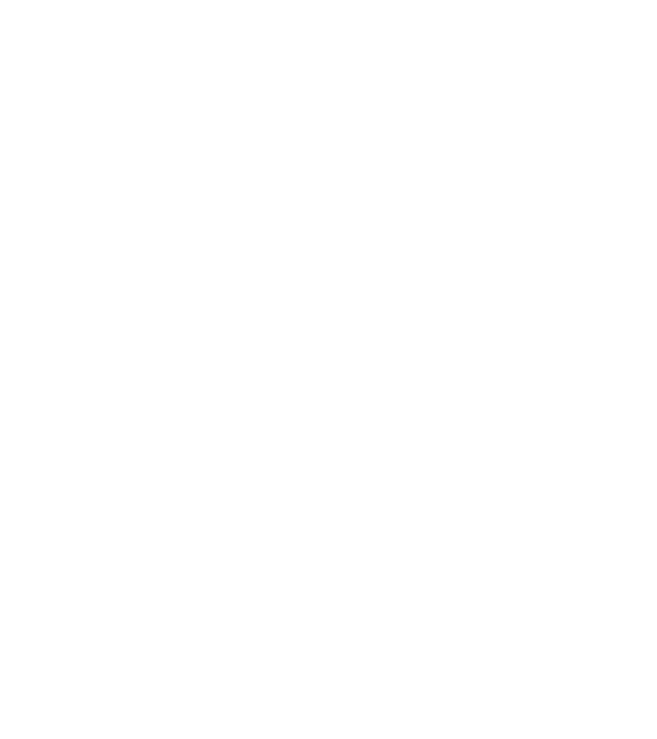 chitară evolution model negru pe tricou