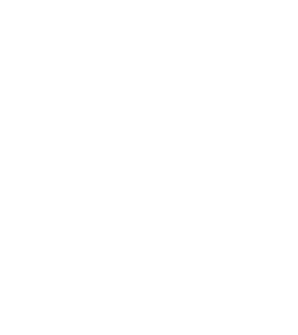 Așa arată un HOCHEIST foarte chipeș model negru pe tricou