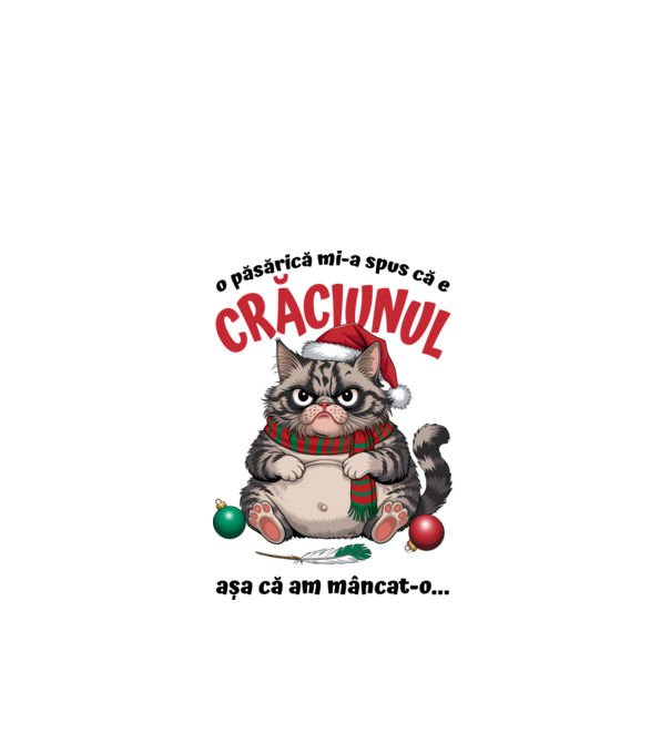 Am mâncat pasărea Crăciun pisică Alb model alb pe tricou