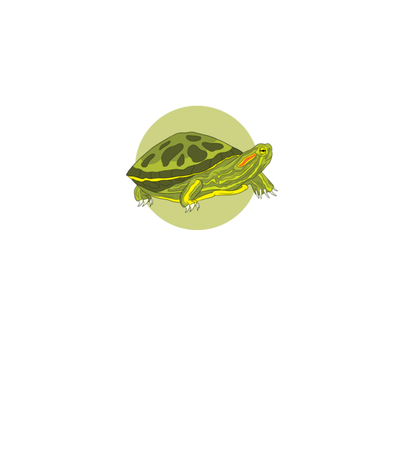 Turtle model negru pe tricou