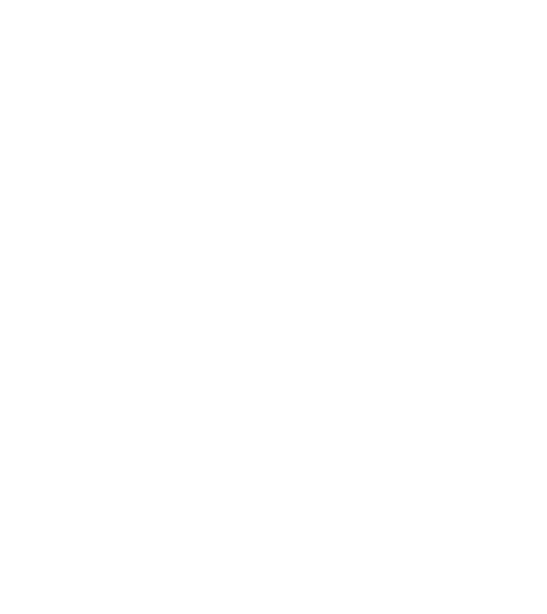 Nașul model bordo pe tricou