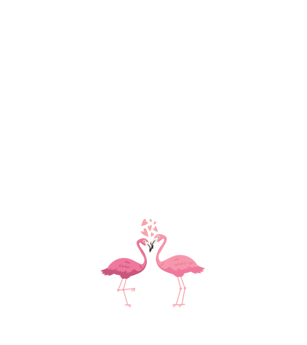 FLAMINGO ÎNDRĂGOSTIȚI model negru pe tricou