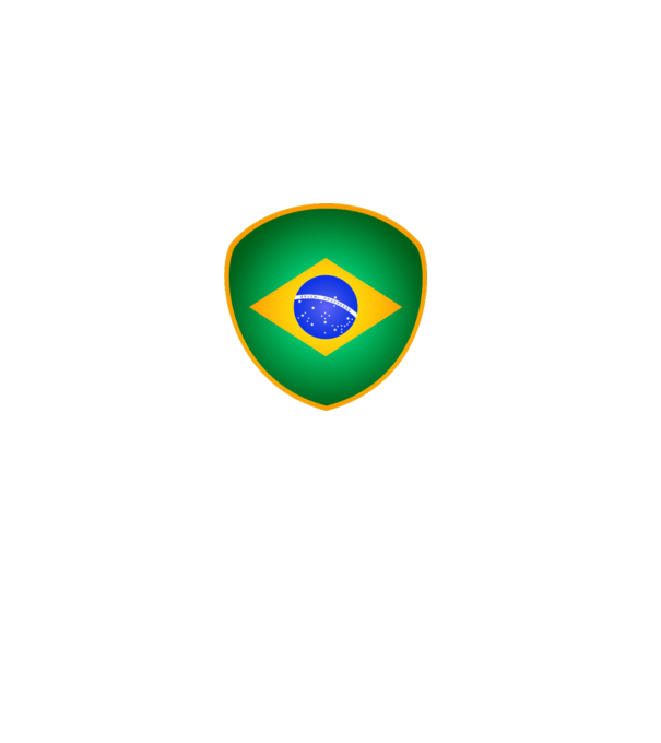 BRA-jabulani-flag model gri pe tricou