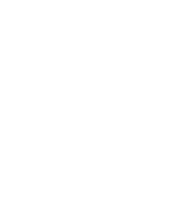 Mr. model negru pe tricou