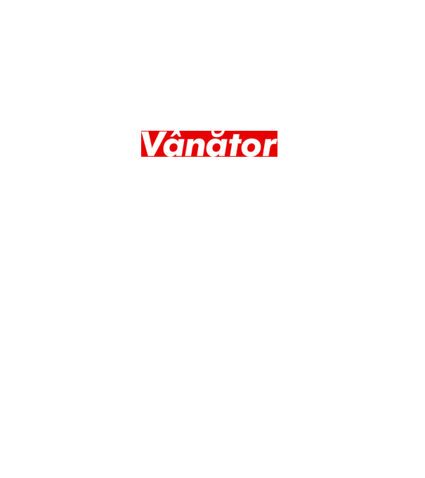 vânător model gri pe tricou