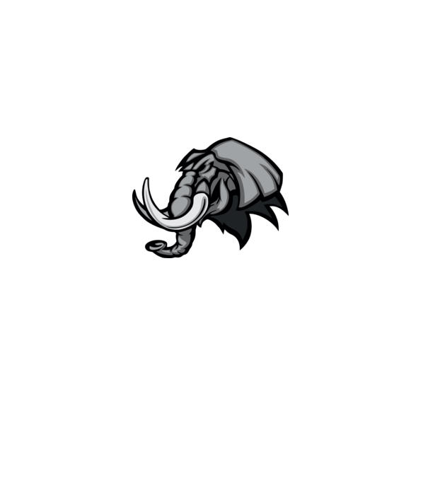 Elephant model galben pe tricou