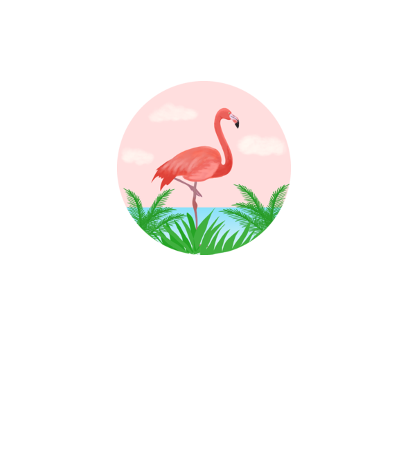 Flamingo model alb pe tricou