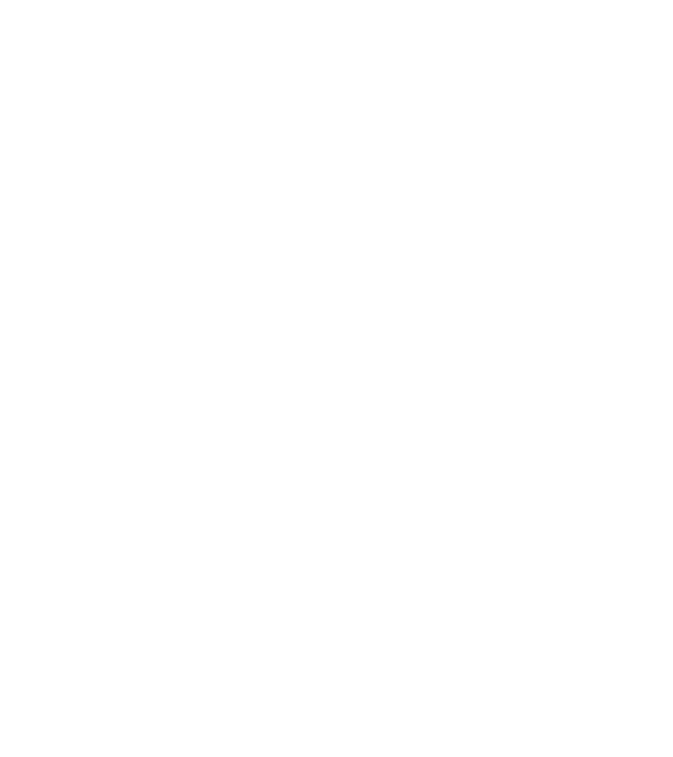 Freedom model gri pe tricou
