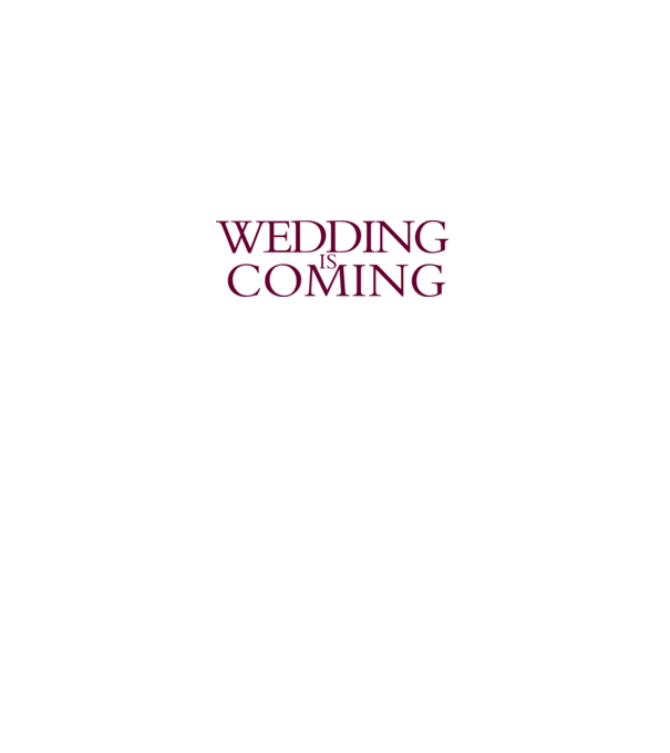 Wedding is coming model gri pe tricou