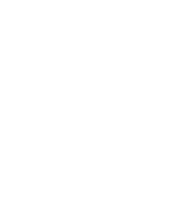 România made in model negru pe tricou