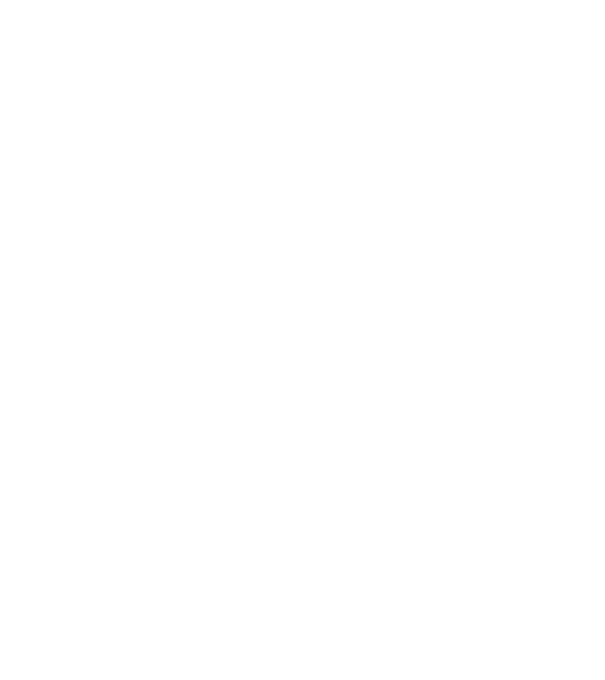 Box evolution model negru pe tricou