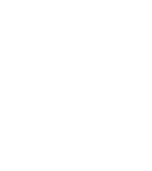 Crazy Cat Ladies are born in December model negru pe tricou