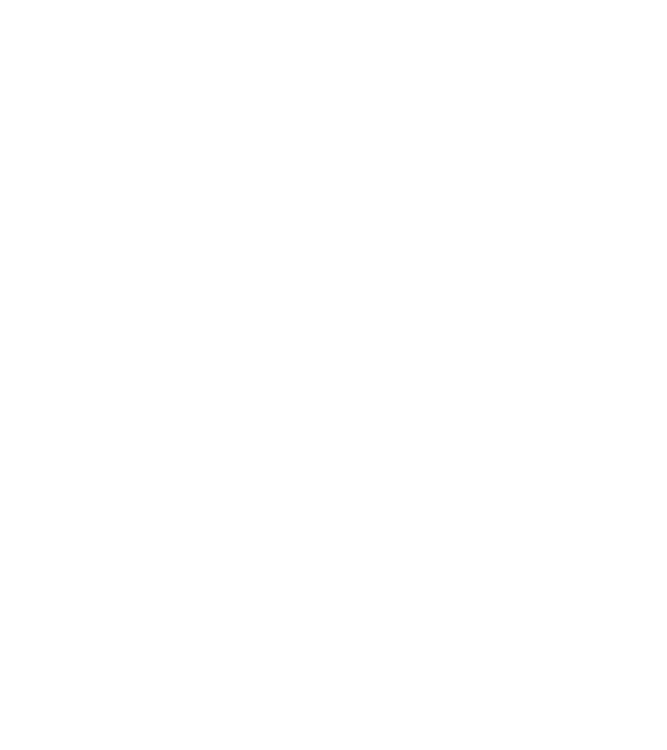 LOVE VIȘLĂ model negru pe tricou