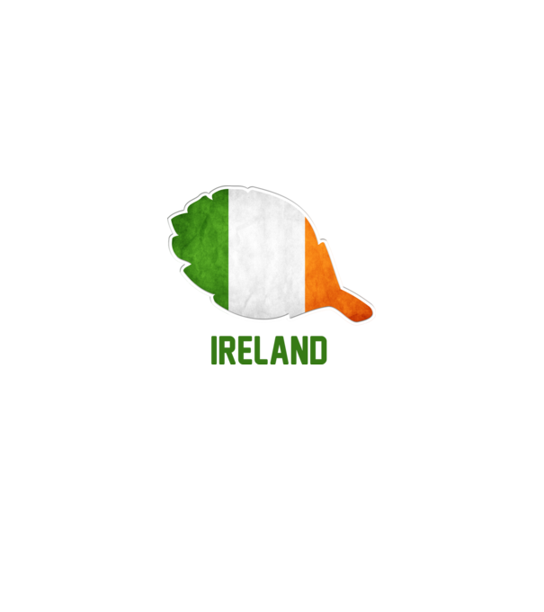 Steag irlandez model alb pe tricou