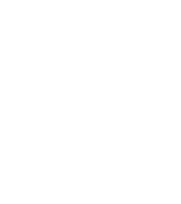 Crazy Cat Ladies are born in January model negru pe tricou