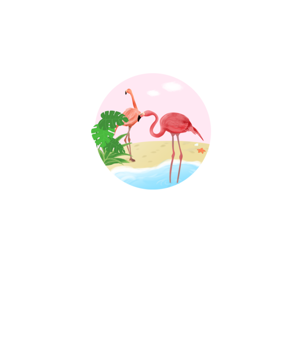 Flamingo model alb pe tricou