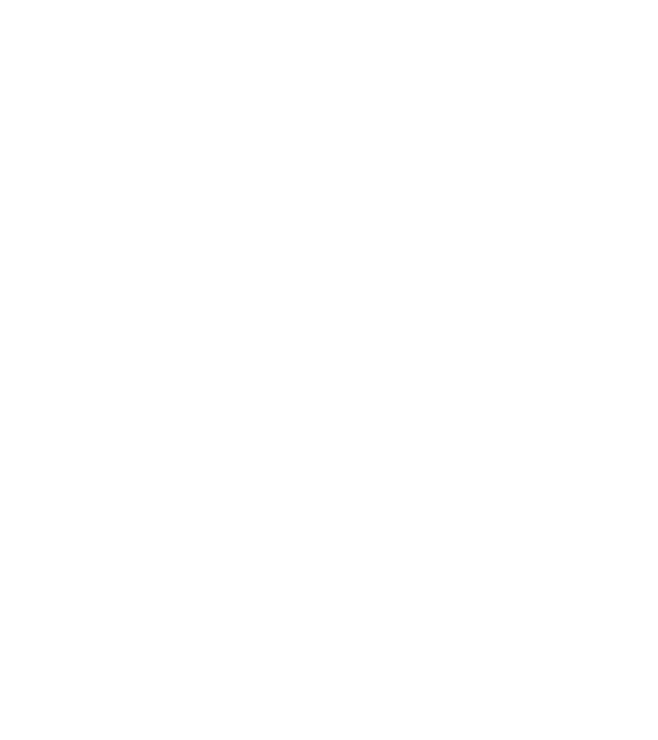 Box evolution model negru pe tricou