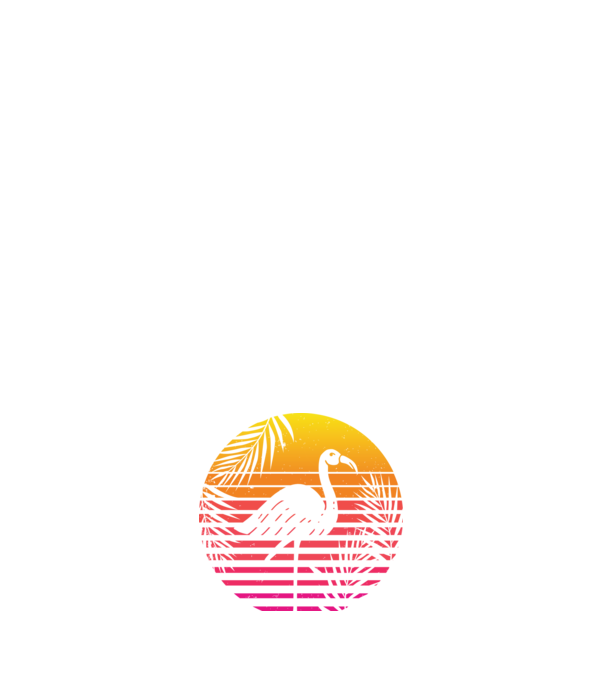 Retro flamingo sunset model negru pe tricou