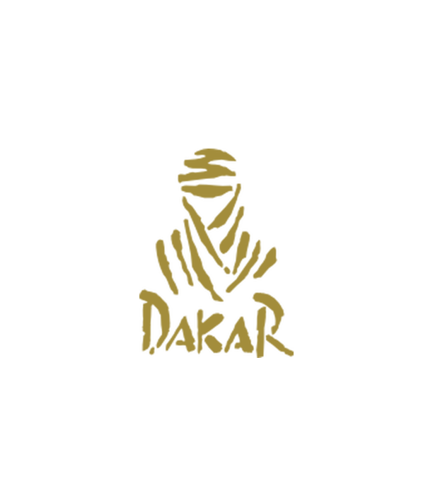 Dakar Rally model gri pe tricou