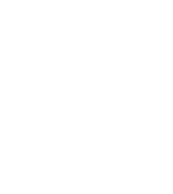 Kind regards model turcoaz pe tricou