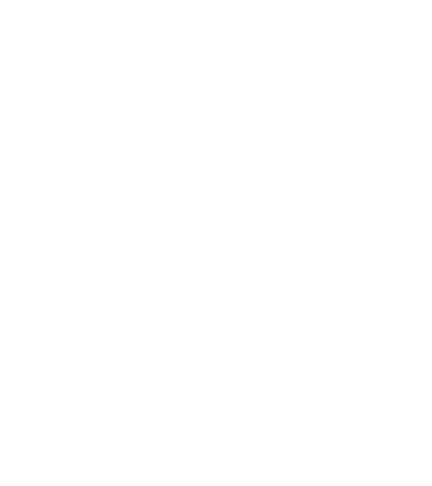 W.I.F.E. model negru pe tricou