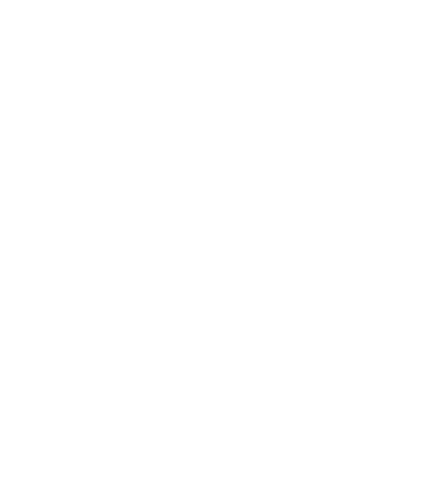 Camion 2. model gri pe tricou