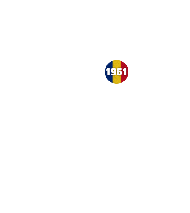 made in 1961 retro vintage model negru pe tricou