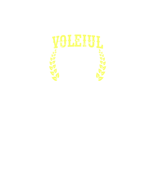 Singurul lucru mai bun decât voleiul este să fiu tată model negru pe tricou