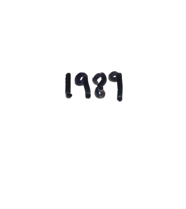 Taylor Swift 1989 text model alb pe tricou