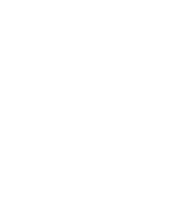 Crazy Cat Ladies are born in June model negru pe tricou
