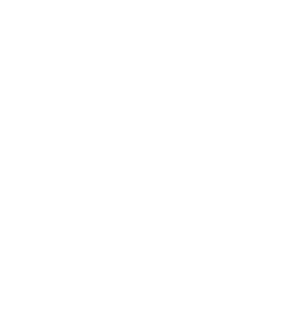 România made in model negru pe tricou