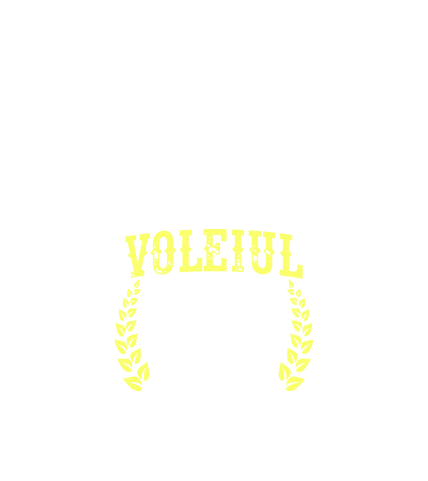 Singurul lucru mai bun decât voleiul este să fiu tată model negru pe tricou