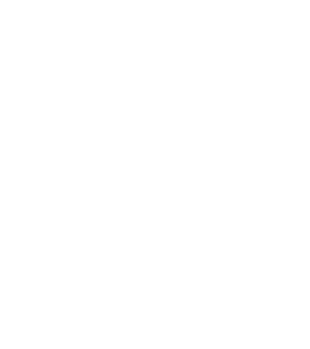 LOVE Border Collie model negru pe tricou