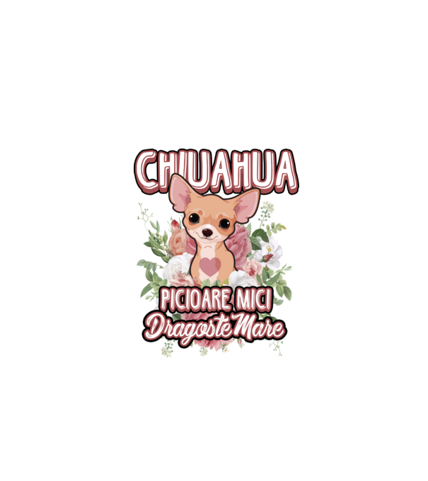 chihuahua : picioare mici dragoste mare model alb pe tricou