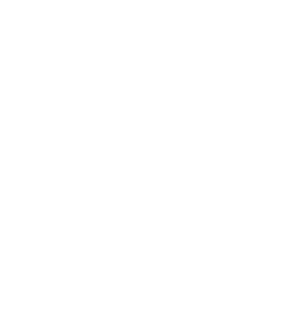 Regele - ceaunului! model negru pe tricou