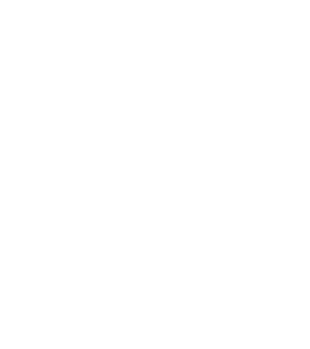 Crazy Cat Ladies are born in December model negru pe tricou