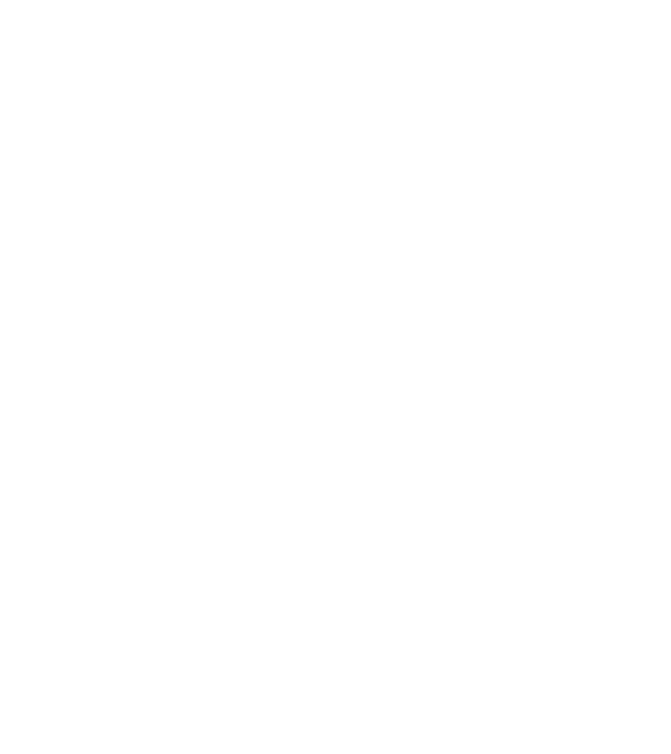 Vegan definition model negru pe tricou