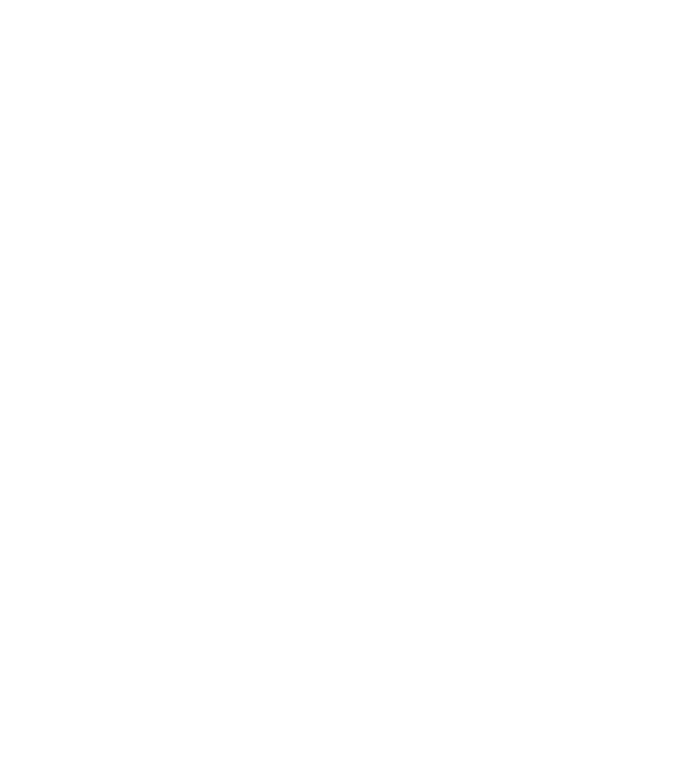 All men are created equal but only the best are born in june model negru pe tricou