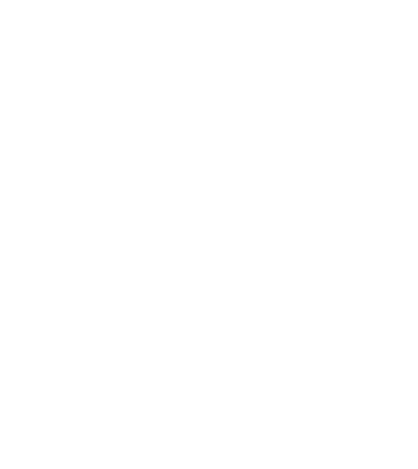 poștașul model turcoaz pe tricou