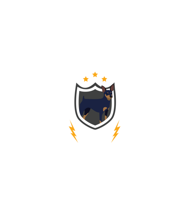 serviciu de securitate - securitate - persistență - 24 de ore pe zi model negru pe tricou