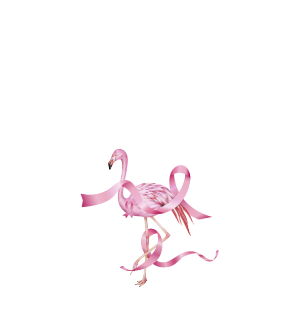 Împotriva Cancerului de sân flamingo model negru pe tricou