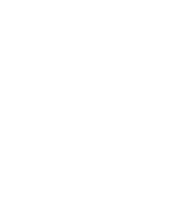I'm the middle child model gri pe tricou