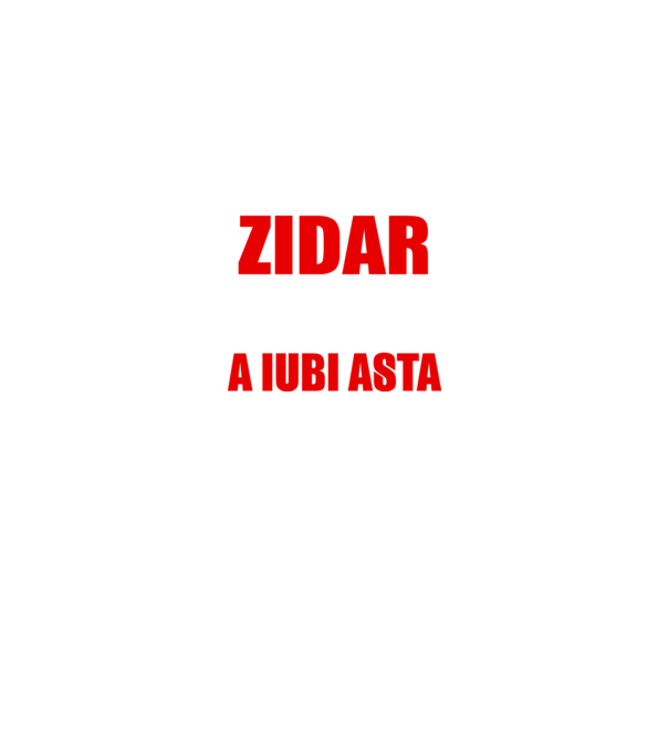 Sunt suficient de priceput pentru a fi ZIDAR și suficient de nebun pentru a iubi asta model gri închis pe tricou