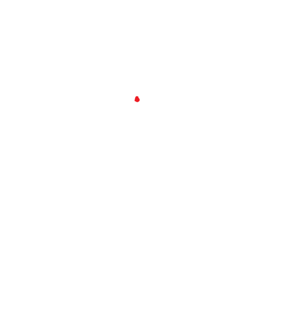 Nail polish Fuck U model negru pe tricou