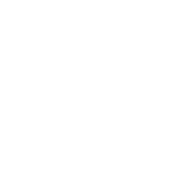 Box evolution model negru pe tricou