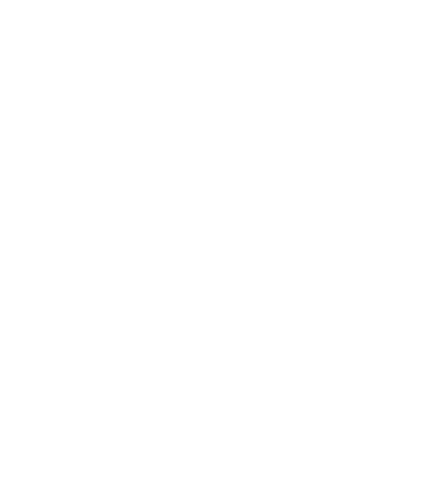 Love Pisică model gri închis pe tricou